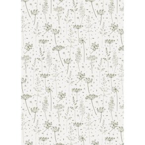 Gavepapir <br><br> Green Grass and Umbels <br><br> 5 m pr. rulle <br><br>