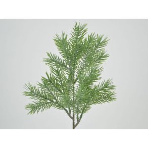 Grangren <br><br> lysegrn <br><br> L 38  cm <br><br>