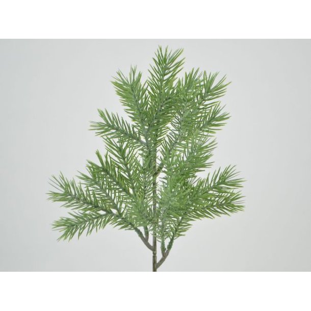 Grangren <br><br> lysegrn <br><br> L 38  cm <br><br>