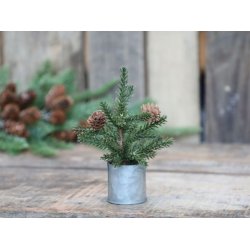 Fleur Grantr� i zinkpotte <br><br> h15 cm <br><br>