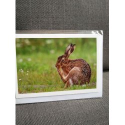 Kort m. kuvert <br><br> 10,5 x 14,8 cm <br><br> V�lg motiv <br><br> 2. SORTERING <br><br>