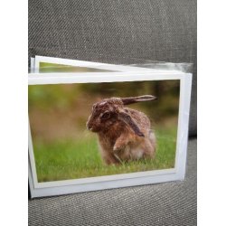 Kort m. kuvert <br><br> 7,4 x 10,5 cm <br><br> V�lg motiv <br><br> 2. SORTERING <br><br>
