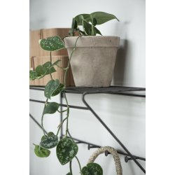 Hylde <br> m/ 5 knager <br><br> L 63 cm <br><br> Brooklyn <br><br>