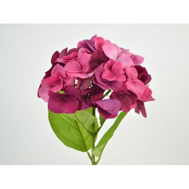 Hortensia <br><br> Real touch <br><br> Fuchsia pink <br><br> L 46 cm