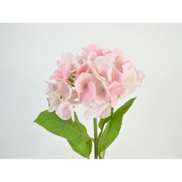 Hortensia <br><br> Real touch <br><br> rosa nuancer <br><br> L 46 cm