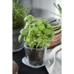 Emalje bakke <br><br> hvid m. blget kant <br><br> 2 x 14,5 cm <br><br> 