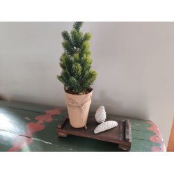 Kogler i beton <br><br> vlg mellem 2 slags <br><br> 