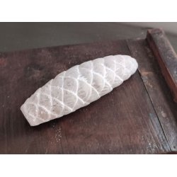 Kogler i beton <br><br> vlg mellem 2 slags <br><br> 