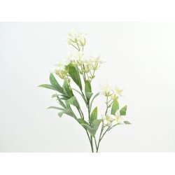 Jasmin gren <br><br> L 60 cm <br><br> Vlge mellem 2 farver