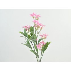 Jasmin gren <br><br> L 60 cm <br><br> Vlge mellem 2 farver