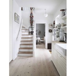 Julemagasin 2024 <br><br> Den dejlige juletid <br><br> Srudgave <br><br> 