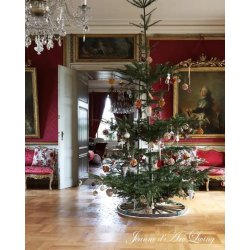 Julemagasin 2025 <br><br> Et drys af JULEMAGI <br><br> Srudgave <br><br>