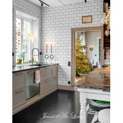 Julemagasin 2026 <br><br> Julens HJEM <br><br> S�rudgave <br><br>