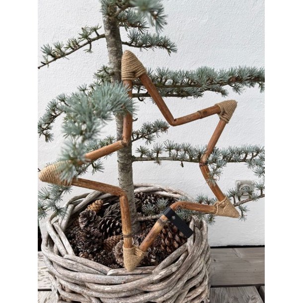 Rattan dekorationsstjerne <br><br> Mini <br><br> L38 x B38 x D2 cm <br><br>