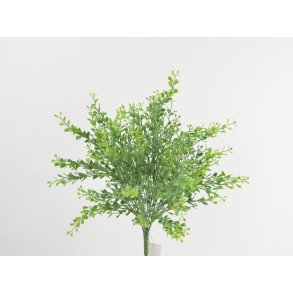Kinesisk parfumeplante <br><br>   L 38 cm <br><br> God til fylde i kunstige buketter