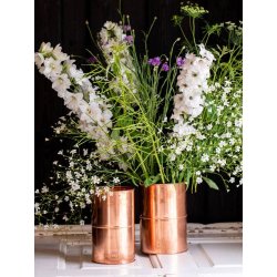 Vaser <br><br> vlg variant