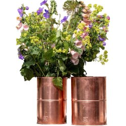 Vaser <br><br> vlg variant