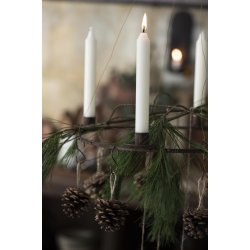 Kogle m. jutesnor <br><br> 