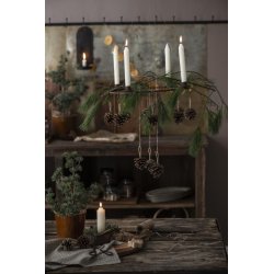 Kogle m. jutesnor <br><br> 