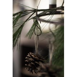 Kogle m. jutesnor <br><br> 