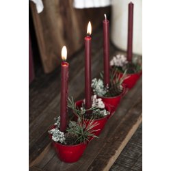 Kertelys 20 cm - 2,5t <br><br> rhododendron <br><br>