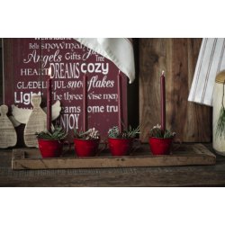 Kertelys 20 cm - 2,5t <br><br> rhododendron <br><br>