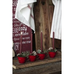 Kertelys 20 cm - 2,5t <br><br> rhododendron <br><br>