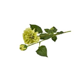 Saml selv evighedsbuket <br><br>  Se beskrivelse <br><br>
