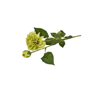 Dahlia m. knop <br><br> Gr�nne nuancer <br><br> L 55 cm <br><br> 