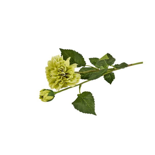 Dahlia m. knop <br><br> Gr�nne nuancer <br><br> L 55 cm <br><br> 