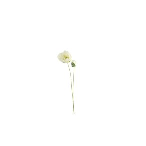 Papaver - valmue <br><br> Creme <br><br> L 70 cm <br><br> 