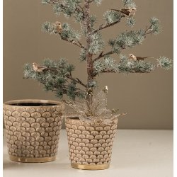 Pynte grantr� m. is look  <br><br> i potte <br><br> H60 CM <br><br> RESTSALG <br><br>