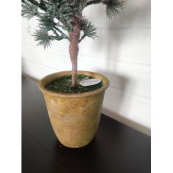 Pynte grantr� m. is look  <br><br> i potte <br><br> H60 CM <br><br> RESTSALG <br><br>