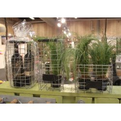 Firkantet trdkurv <br><br> sjle <br><br> L15 x B15 x H31 cm