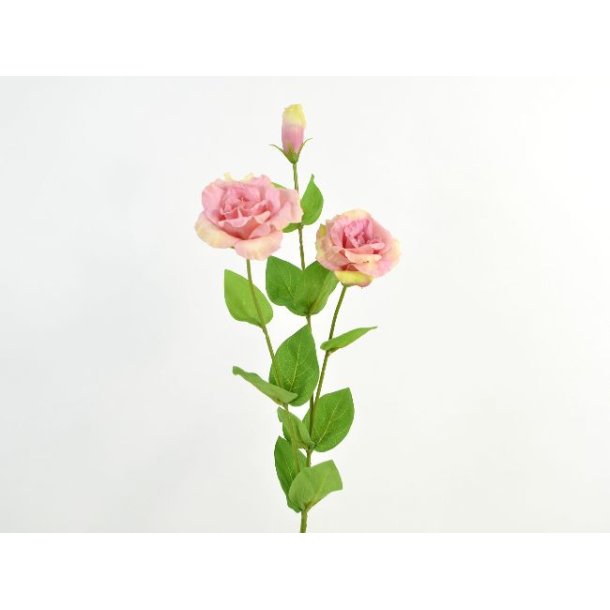 Lisianthus <br><br> Real touch <br><br> Gammel rosa <br><br> L 71 cm