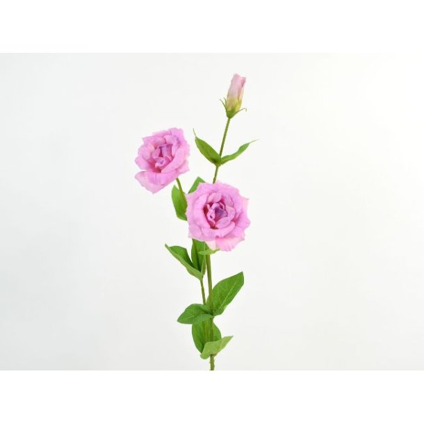 Lisianthus <br><br> Real touch <br><br> Lilla <br><br> L 71 cm