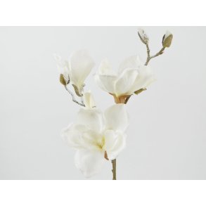 Magnolia gren m. sne <br><br> creme/hvid <br><br> L 50 cm <br><br> 