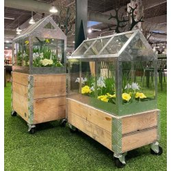 Maxi vksthus <br><br> L62,2 x B32,2 x H50 cm <br><br> AFHENTNINGSVARE