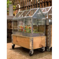 Maxi vksthus <br><br> L62,2 x B32,2 x H50 cm <br><br> AFHENTNINGSVARE