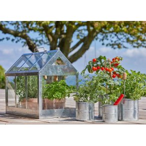 Maxi v�ksthus <br><br> L62,2 x B32,2 x H50 cm <br><br> AFHENTNINGSVARE