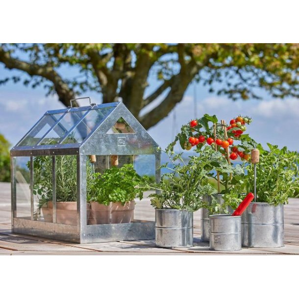 Maxi v�ksthus <br><br> L62,2 x B32,2 x H50 cm <br><br> AFHENTNINGSVARE