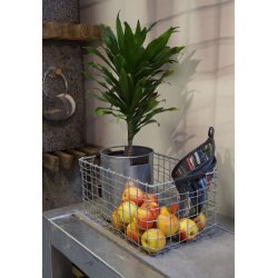 Firkantet trdkurv <br><br> midi <br><br> L39 x B25 x H19 cm