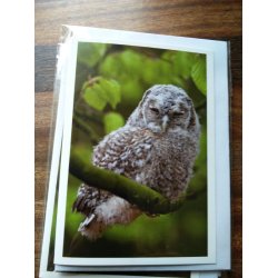 Kort m. kuvert <br><br> 7,4 x 10,5 cm <br><br> V�lg motiv <br><br> 2. SORTERING <br><br>