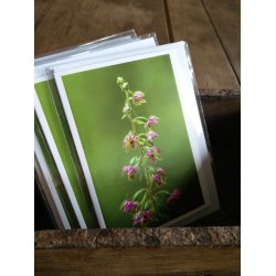 Kort m. kuvert <br><br> 10,5 x 14,8 cm <br><br> V�lg motiv <br><br> 2. SORTERING <br><br>