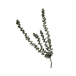 Perler p snor m/ 4 grene <br><br> L 35 cm