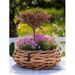 Rattan bowle <br><br> St m. 2 str. <br><br> 