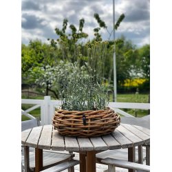 Rattan bowle <br><br> St m. 2 str. <br><br> 