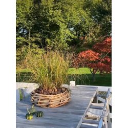 Rattan bowle <br><br> St m. 2 str. <br><br> 