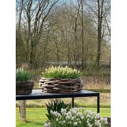 Rattan bowle <br><br> St m. 2 str. <br><br> 