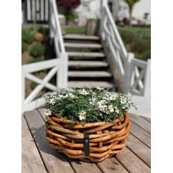 Rattan bowle <br><br> St m. 2 str. <br><br> 